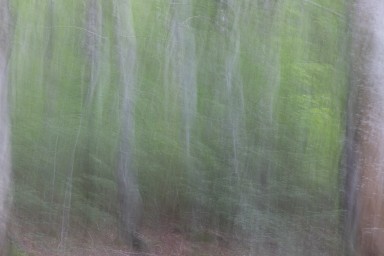 2024-08-25-047.jpg