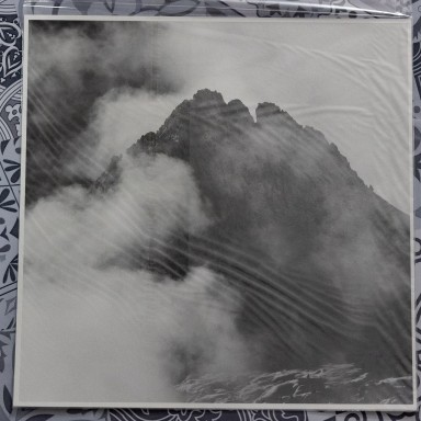 2025-01-07-029.jpg 2025-01-07-029.jpg