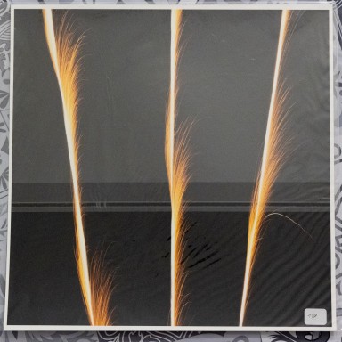 Feu d'artifice 2025-01-07-056.jpg