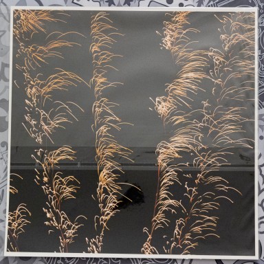 Feu d'artifice 2025-01-07-057.jpg