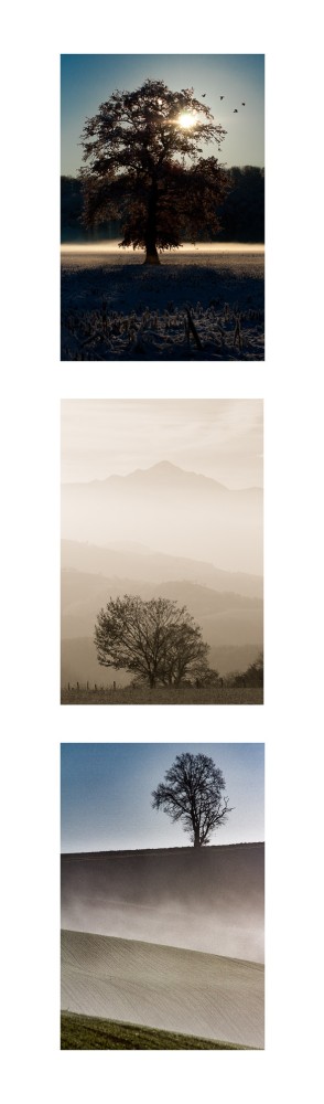 Marque-page-arbres-recto.jpg