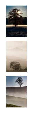 Marque-page-arbres-recto.jpg
