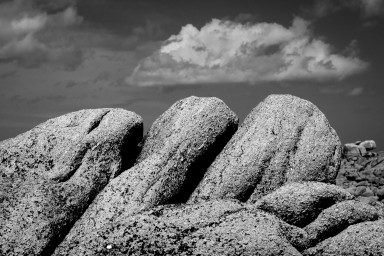 Trio 2026-08-30-048.jpg