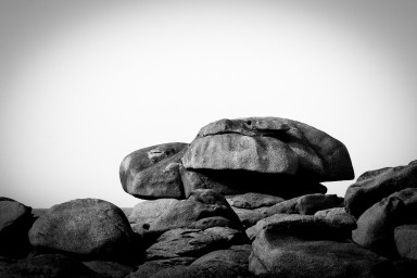 Tortue 2026-09-05-053.jpg