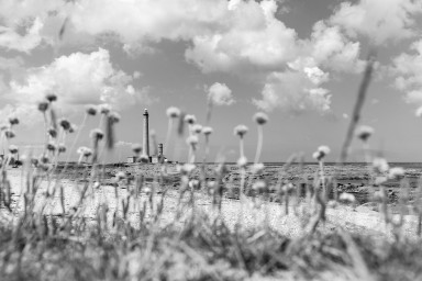 2025-06-12-065.jpg