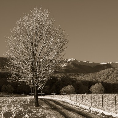 Paysages pyrénéens