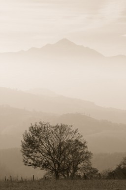 Paysages pyrénéens