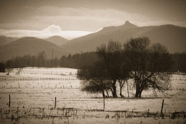 Paysages pyrénéens